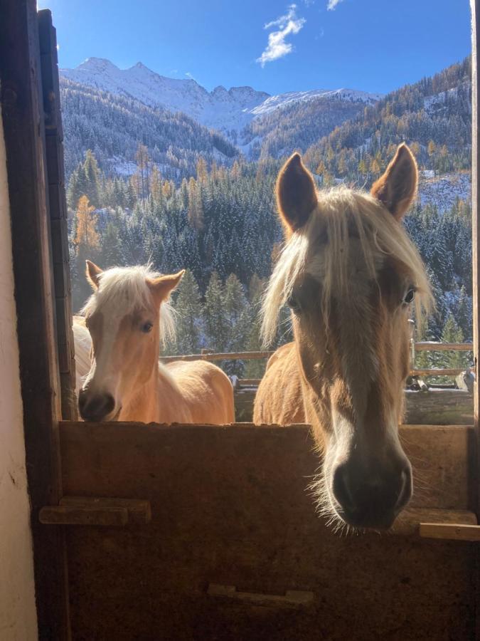 Ferienwohnungen-Lippenhof Sankt Jakob in Defereggen Exterior foto